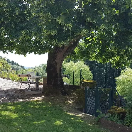 Hébergement de vacances En Montagne Bourbonnaise Avec Jardin, Animaux Admis, Wifi Et Parking - Fr-1-489-458 *